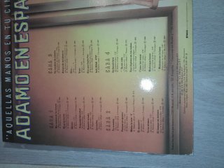 LOTE  2 VINILOS ADAMO