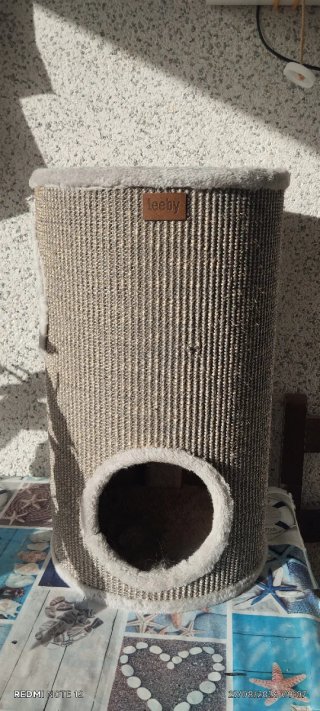 Árbol rascador para gatos cilíndrico, 60×35,