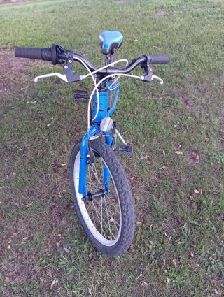 Bicicleta infantil 20'