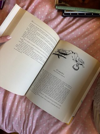 Los mejores cuentos de nuestra vida