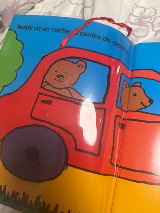 Libro un dia con teddy