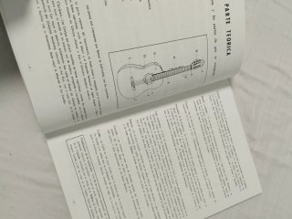 Guitarra, funda, soporte, pua y libro TODO NUEVO
