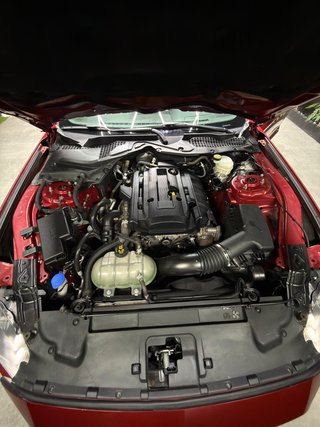 Ford Mustang 5.0 Ti-VCT V8 331KW Mustang GT AT(Fast.)