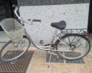 Bicicleta Paseo ALPINA