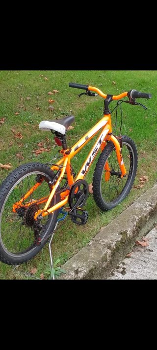 Bicicleta Montaña WST 20 Naranja