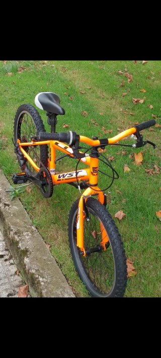 Bicicleta Montaña WST 20 Naranja