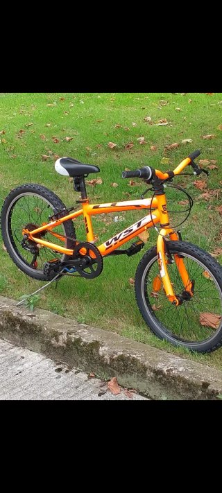 Bicicleta Montaña WST 20 Naranja