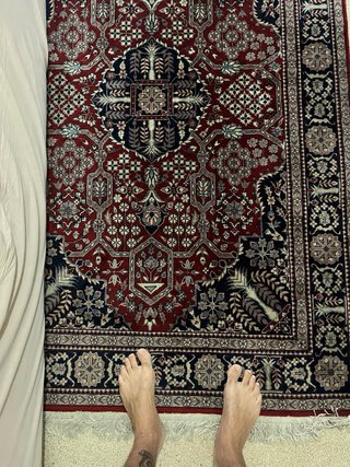 Alfombra Persa  Roja y Negra . Se entrega limpia .