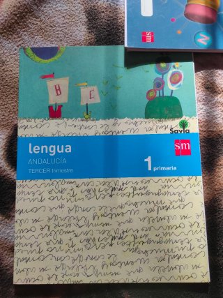 Cartilla de lectura y libro de lengua.