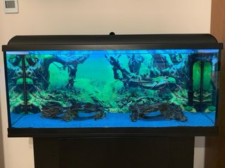 Acuario 120L Completo Negro/Azul 100x30x40