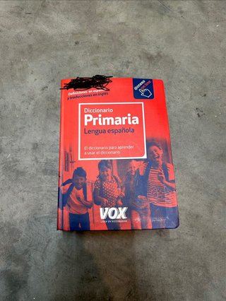 Diccionarios primaria