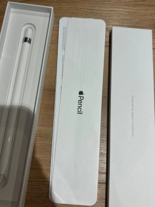 Apple Pencil 1ª Generación