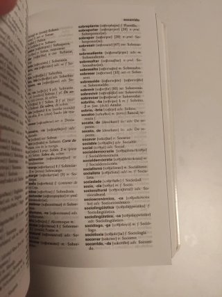 Vox Diccionario Esencial Galego Castelan