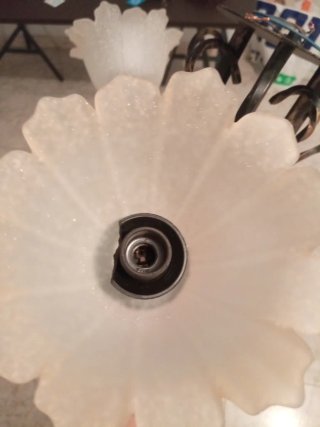Lámpara de techo dorada con tulipas