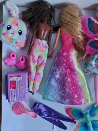 Lotto Barbie con accessori