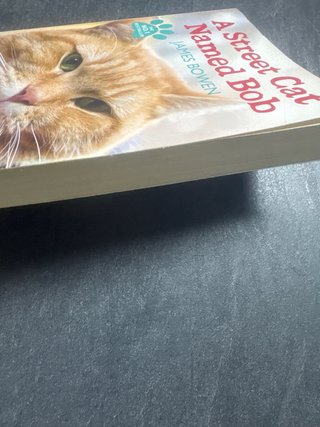 A Street Cat Named Bob 9781444737110 Jamen Bowen
