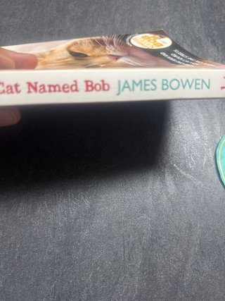 A Street Cat Named Bob 9781444737110 Jamen Bowen