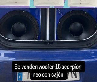 2 Subwoofers Scorpion 15 con cajón