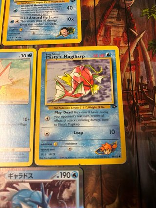 Lotto Pokemon Magikarp e Gyarados