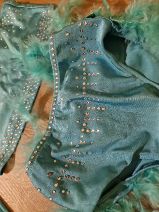 Traje de baile con plumas y pedrería
