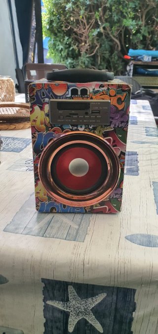 Altavoz Bluetooth Karaoke Radio Multicolor