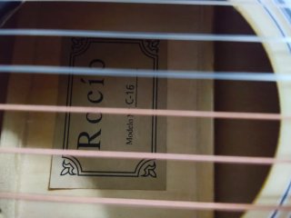 Guitarra C-16 con funda