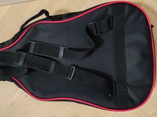 Guitarra C-16 con funda