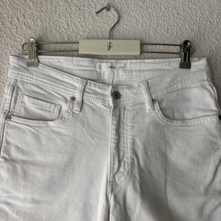 Bermudas Mango