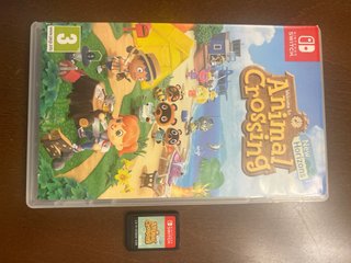 Animal Crossing: New Horizons Nintendo Switch
