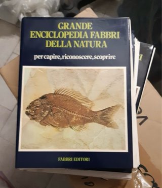 Enciclopedia fabbri della natura
