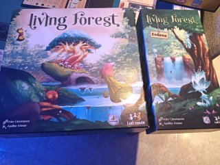 Living Forest Juego de Mesa+expansión