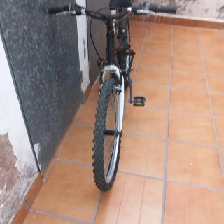 Bicicleta negra