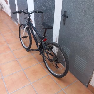 Bicicleta negra