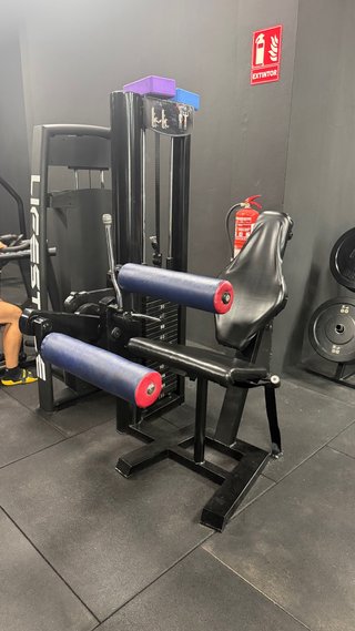 Máquina femoral sentado gimnasio