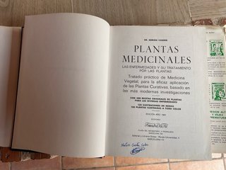 Plantas medicinales: Las enfermedades y su trat...