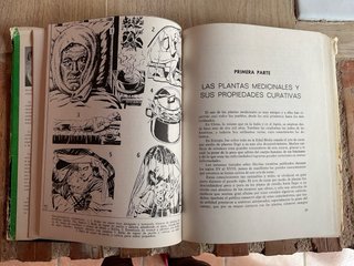 Plantas medicinales: Las enfermedades y su trat...