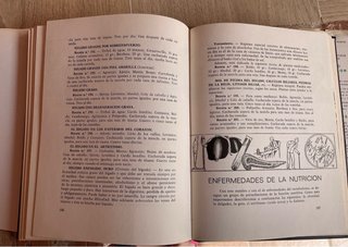 Plantas medicinales: Las enfermedades y su trat...