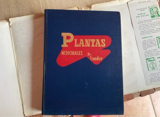 Plantas medicinales: Las enfermedades y su trat...