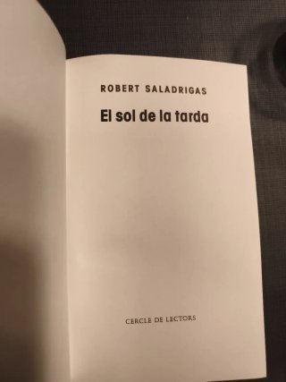 El sol de la tarda - Robert Saladrigas