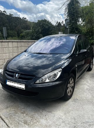 Despuece Peugeot 307 2004