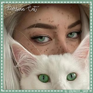 NUEVAS Lentillas Persian Cat Verdes