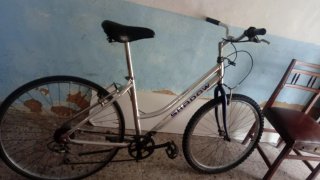 Bicicleta SHADOW Mujer Montaña Plata/Azul