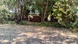 Finca i jardí. Poda y manteniment.