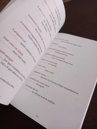Paraules en desús frases fetes i refranys a la saf