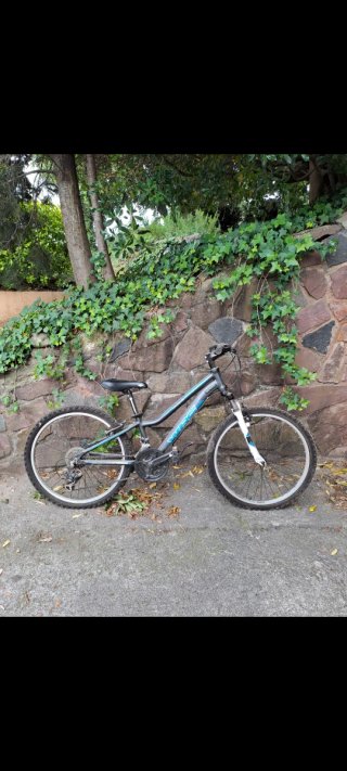 Bicicleta Montaña Niña/o