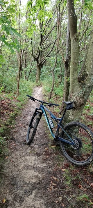 Lapierre XR 5.9 Bicicleta Montaña