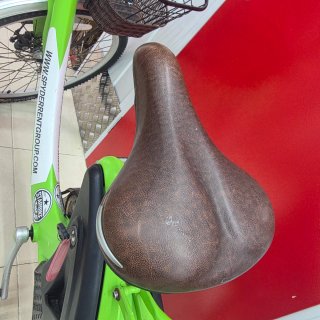 Bicicleta Eléctrica Verde