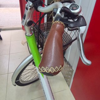 Bicicleta Eléctrica Verde