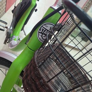 Bicicleta Eléctrica Verde