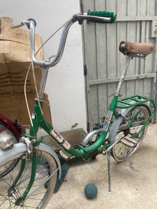 Bicicleta Plegable Verde